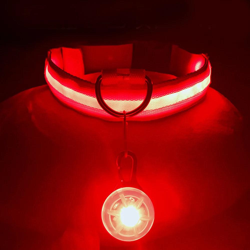 USB Charging Glowing Collar With Pendant - Paws &amp; Purrfections