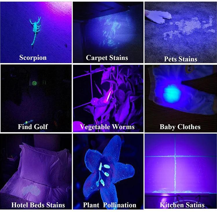 UV Flashlight 21/51/100 LED UV Light 395nm UV Flashlights Ultraviolet Torch Black Light Detector for Dry Pets Urine Stains Bug - Paws &amp; Purrfections