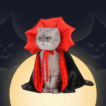 Vampire Cloak Pet Outfit - Paws &amp; Purrfections