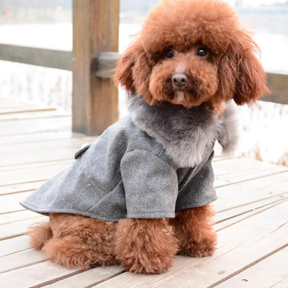 Winter Dog Clothes Pet Cat fur collar Jacket Coat Sweater Warm Padded Puppy Apparel for Small Medium Dogs Pets - Paws &amp; Purrfections