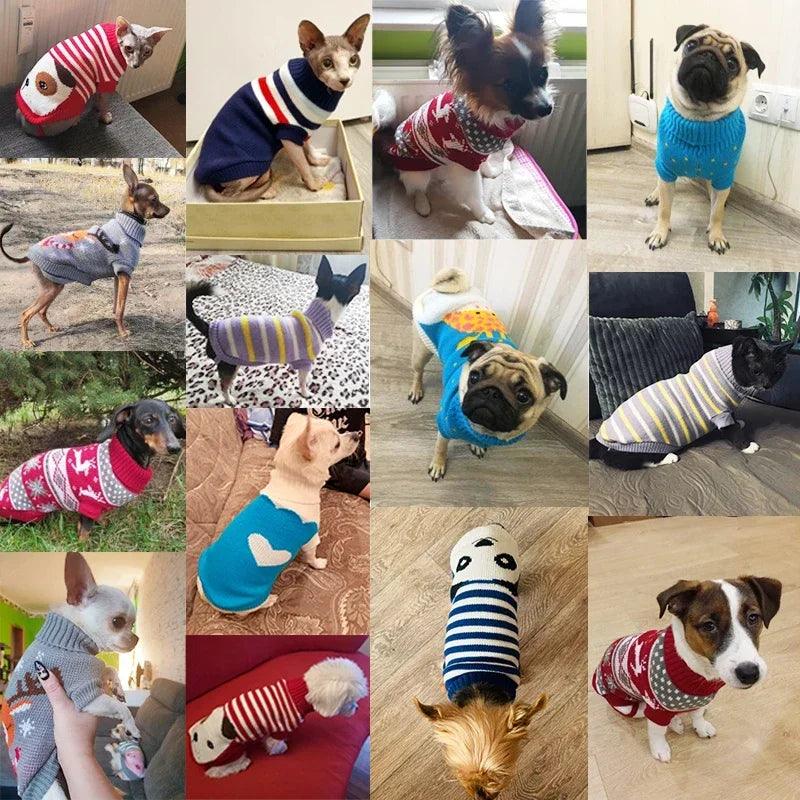 Winter Warm Dog Clothes - Paws &amp; Purrfections